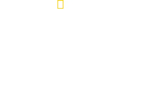 Lo mejor del mundo con Antoni Porowski