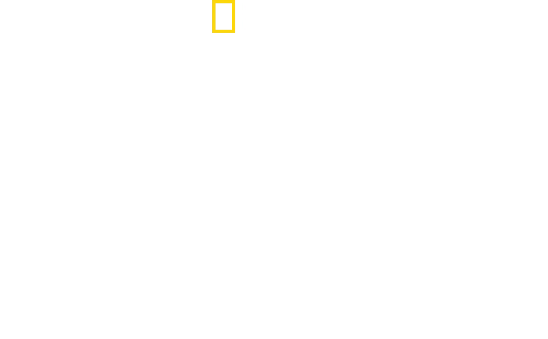 Lo mejor del mundo con Antoni Porowski