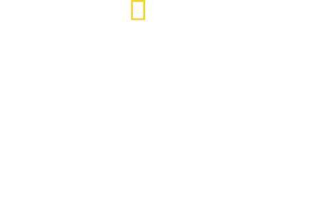 Sabores del mundo con Antoni Porowski: Lo mejor