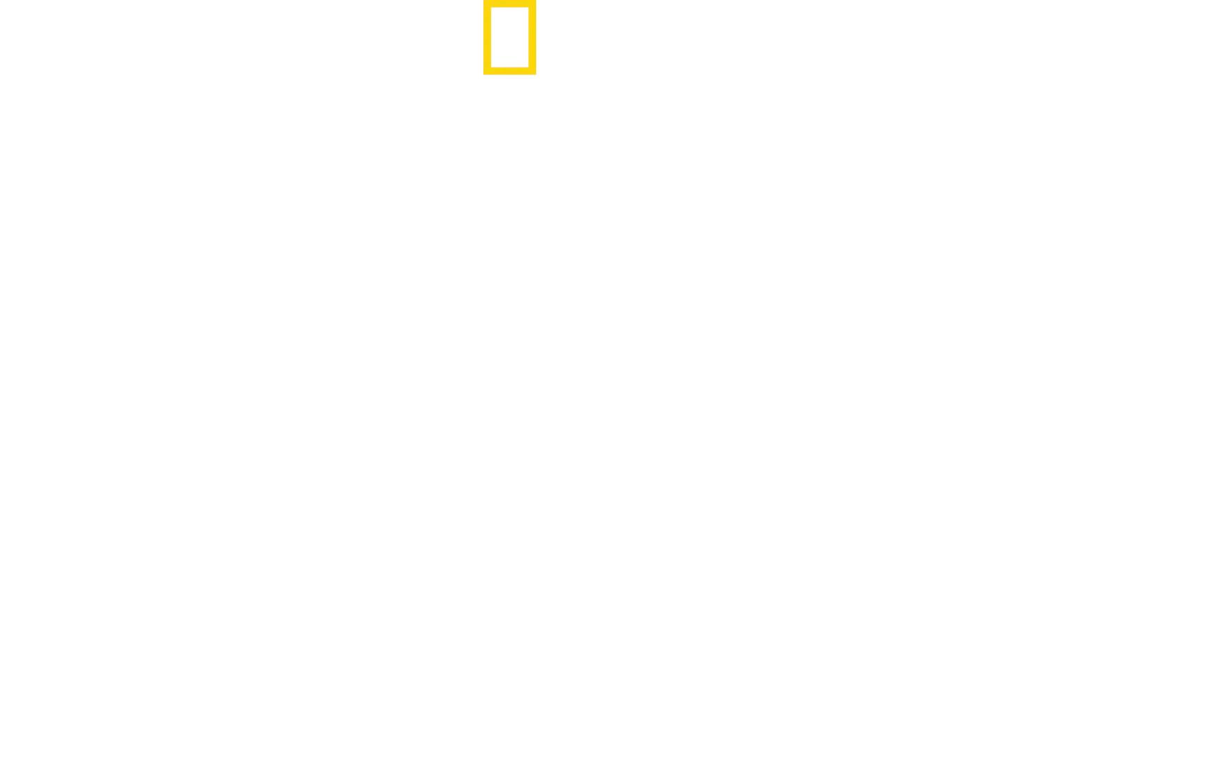 Sabores del mundo con Antoni Porowski: Lo mejor