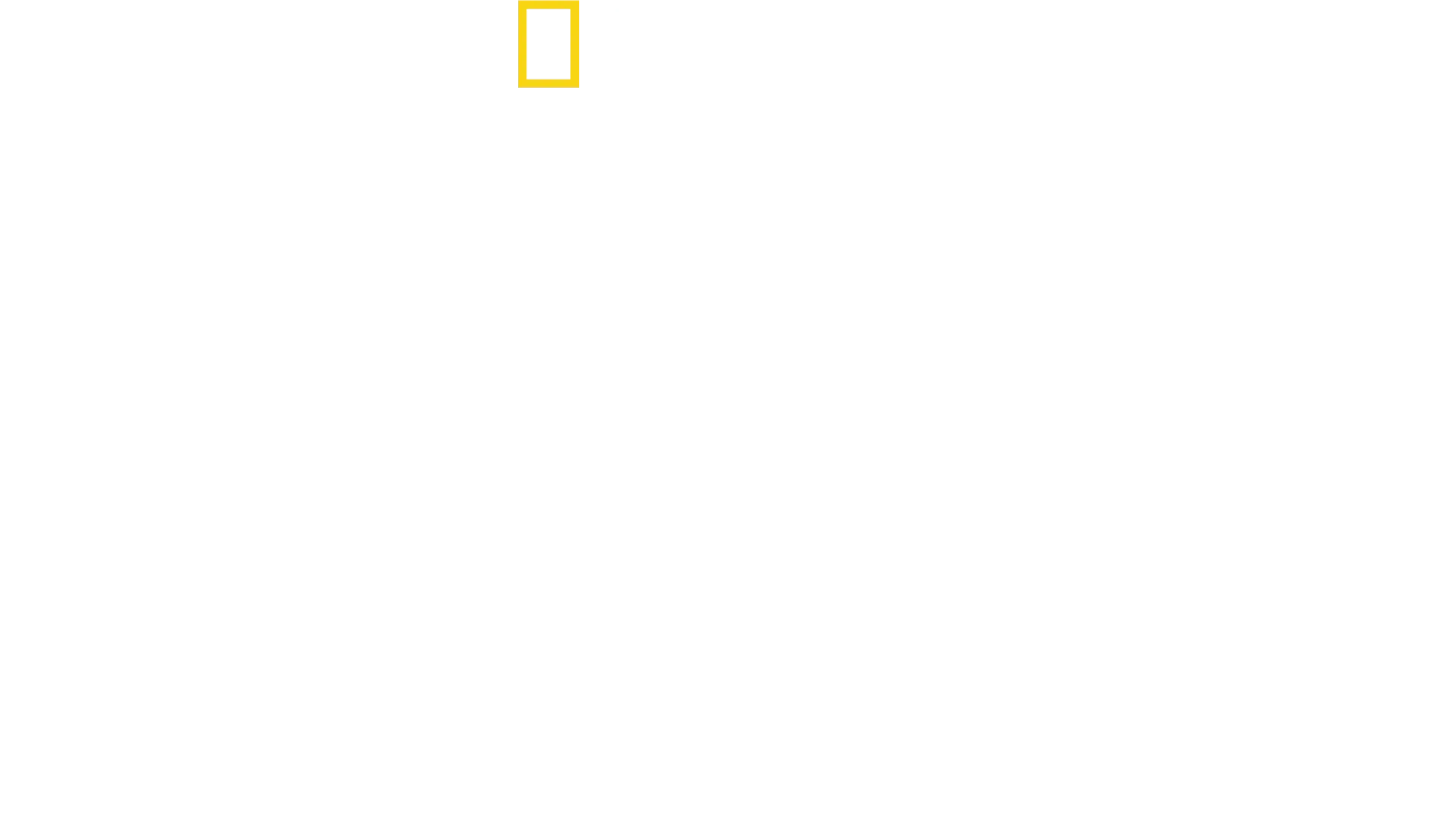 Best of the World with Antoni Porowski