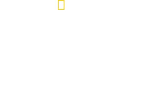 Best of the World with Antoni Porowski