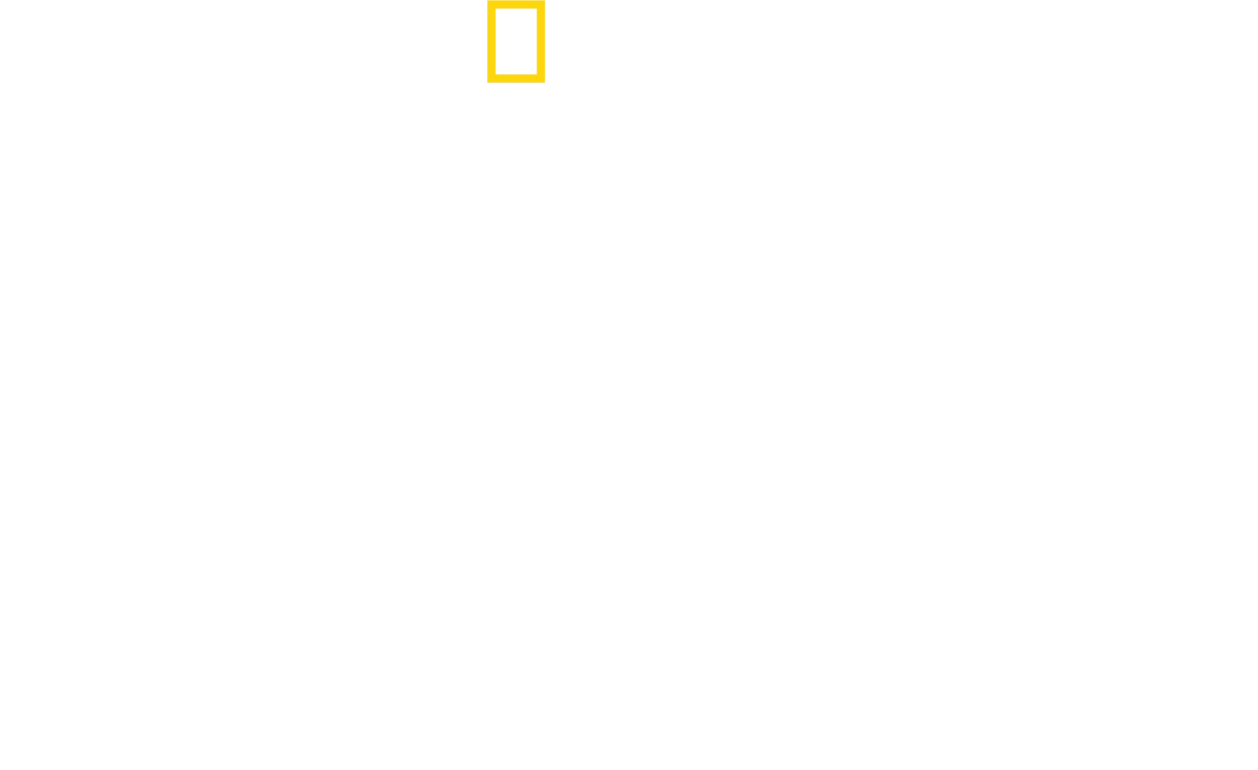 Best of the World with Antoni Porowski