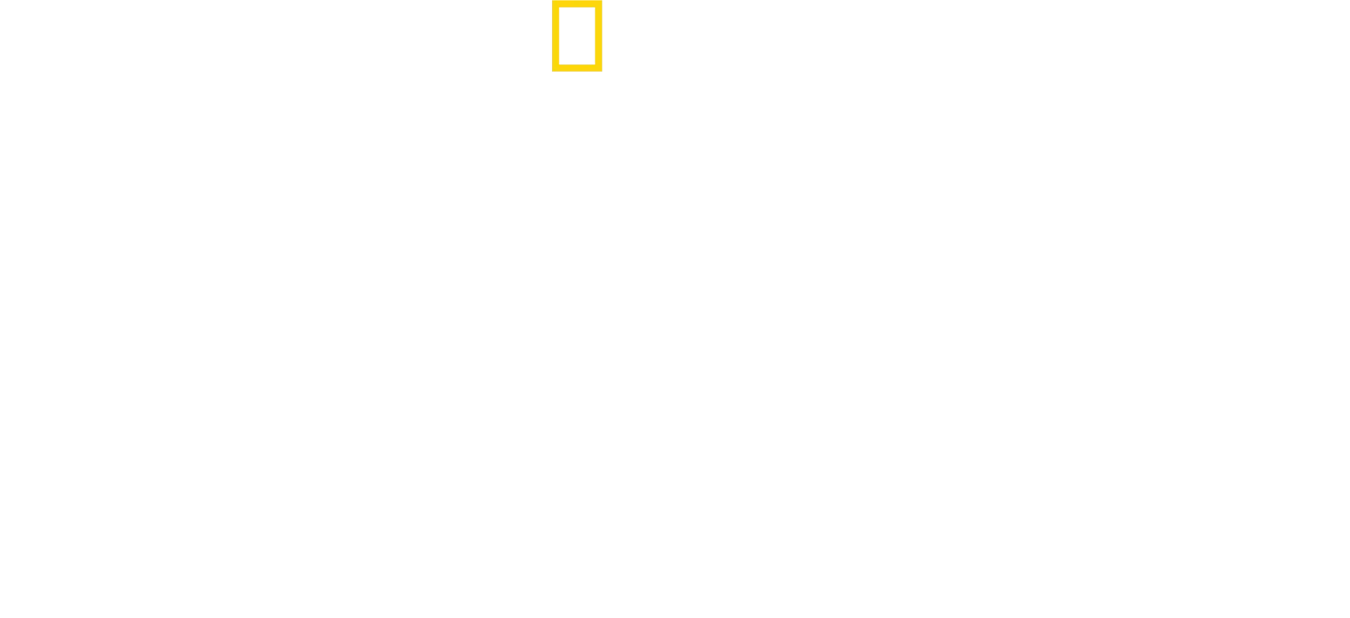 Les plus belles destinations avec Antoni Porowski