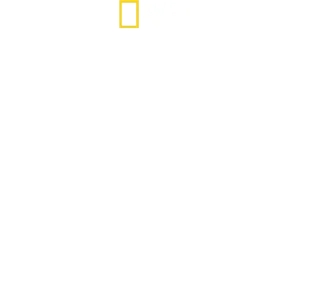 הכי טוב בעולם: עם אנטוני פורובסקי