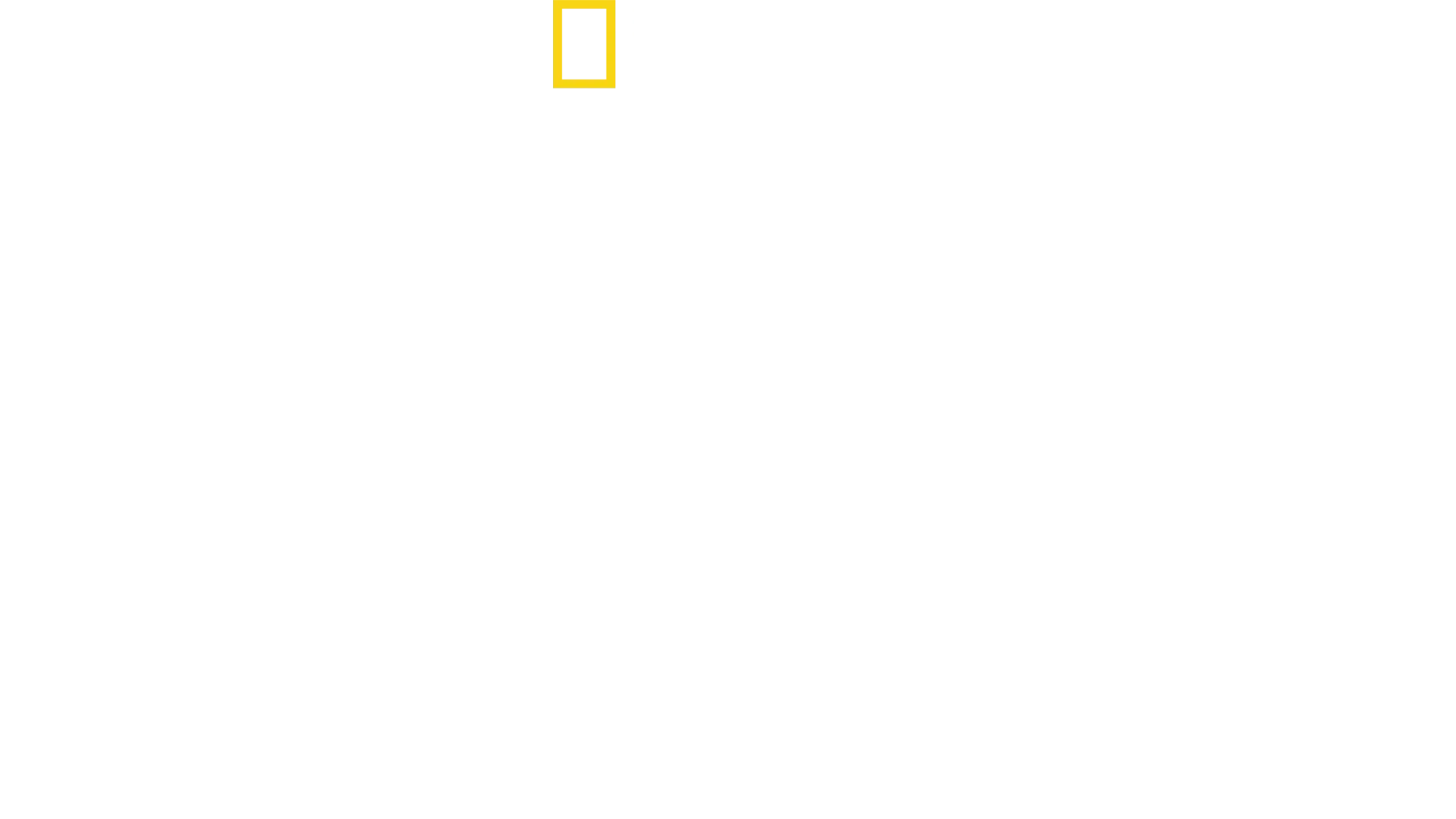 Antoni Porowski: w rytmie miasta