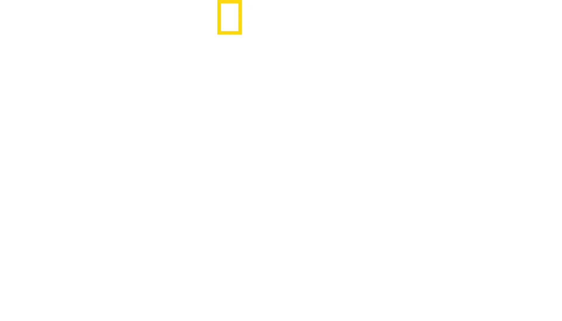 Antoni Porowski: w rytmie miasta