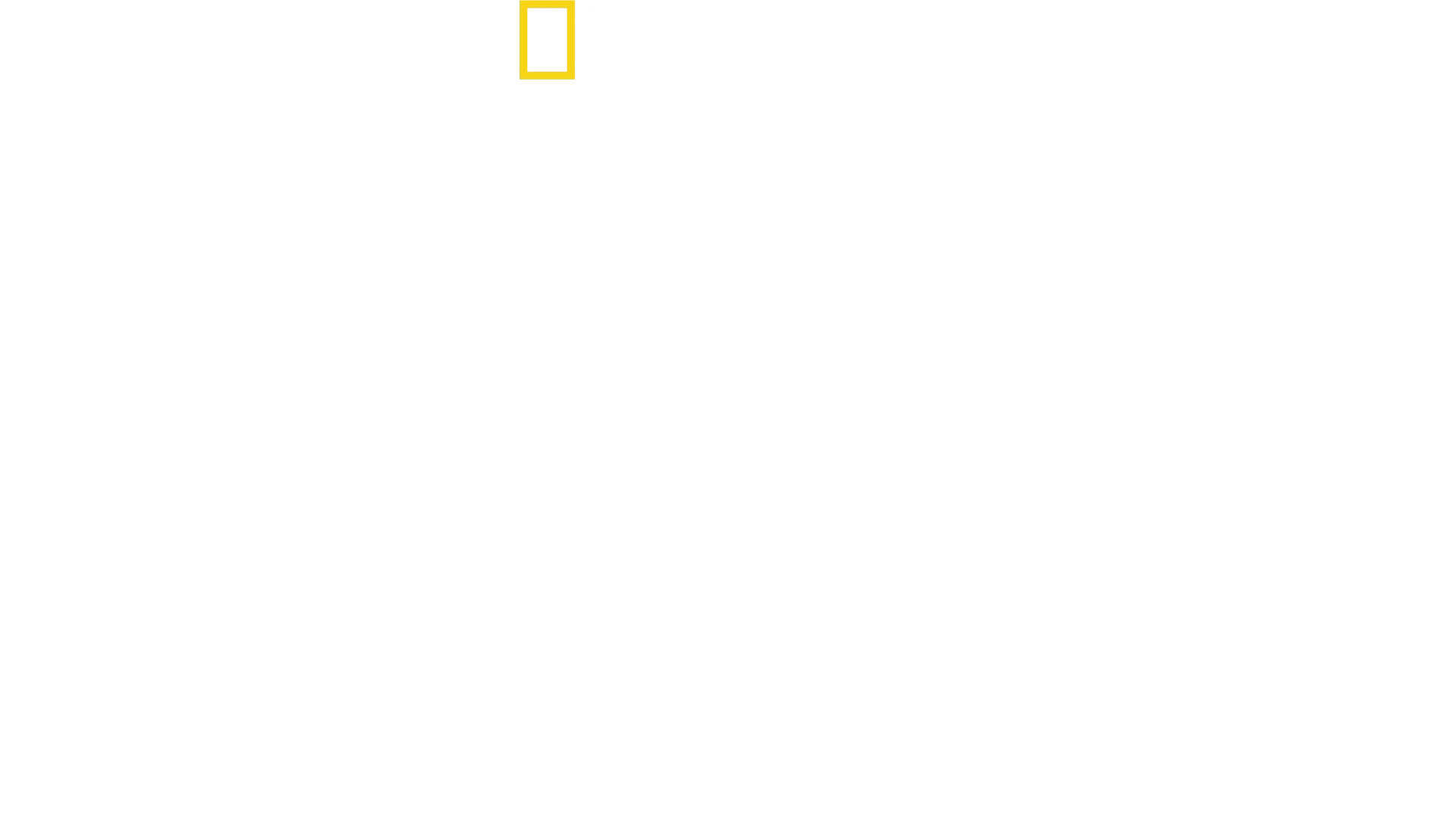 O Melhor do Mundo com Antoni Porowski