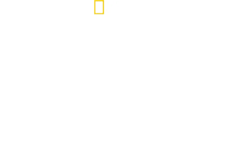 O Melhor do Mundo com Antoni Porowski