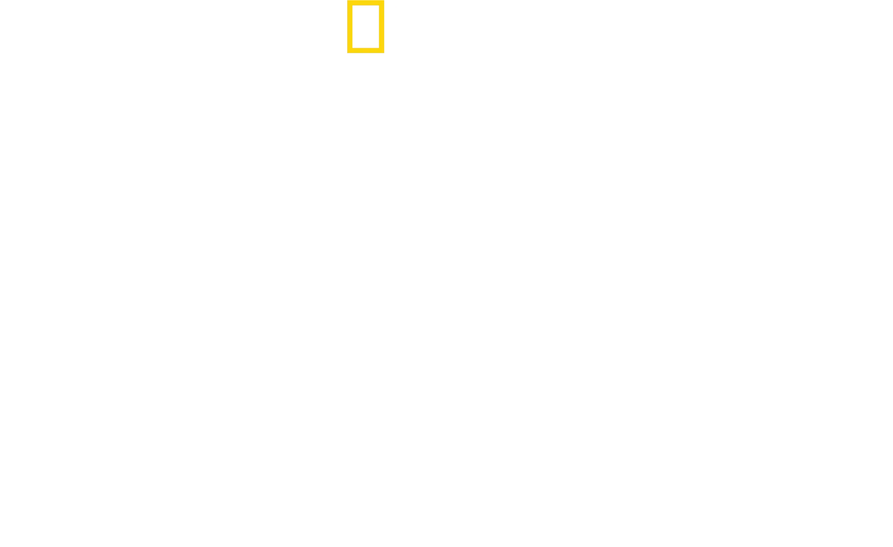 O Melhor do Mundo com Antoni Porowski