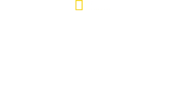 Antoni Porowski ile Dünyanın En İyi Rotaları