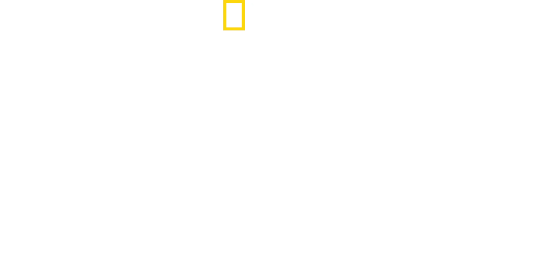 Antoni Porowski ile Dünyanın En İyi Rotaları