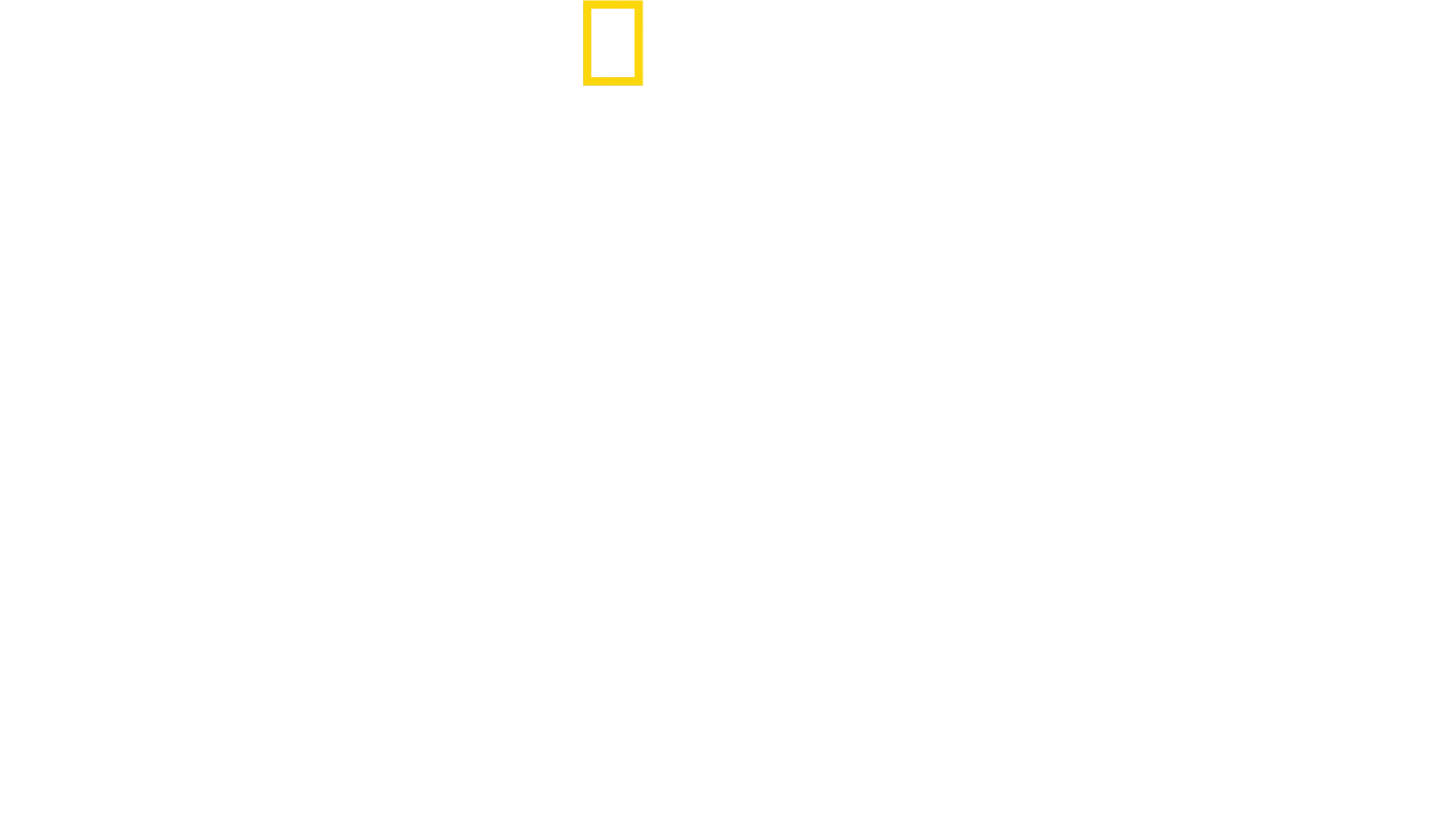 安東尼的世界最佳之旅