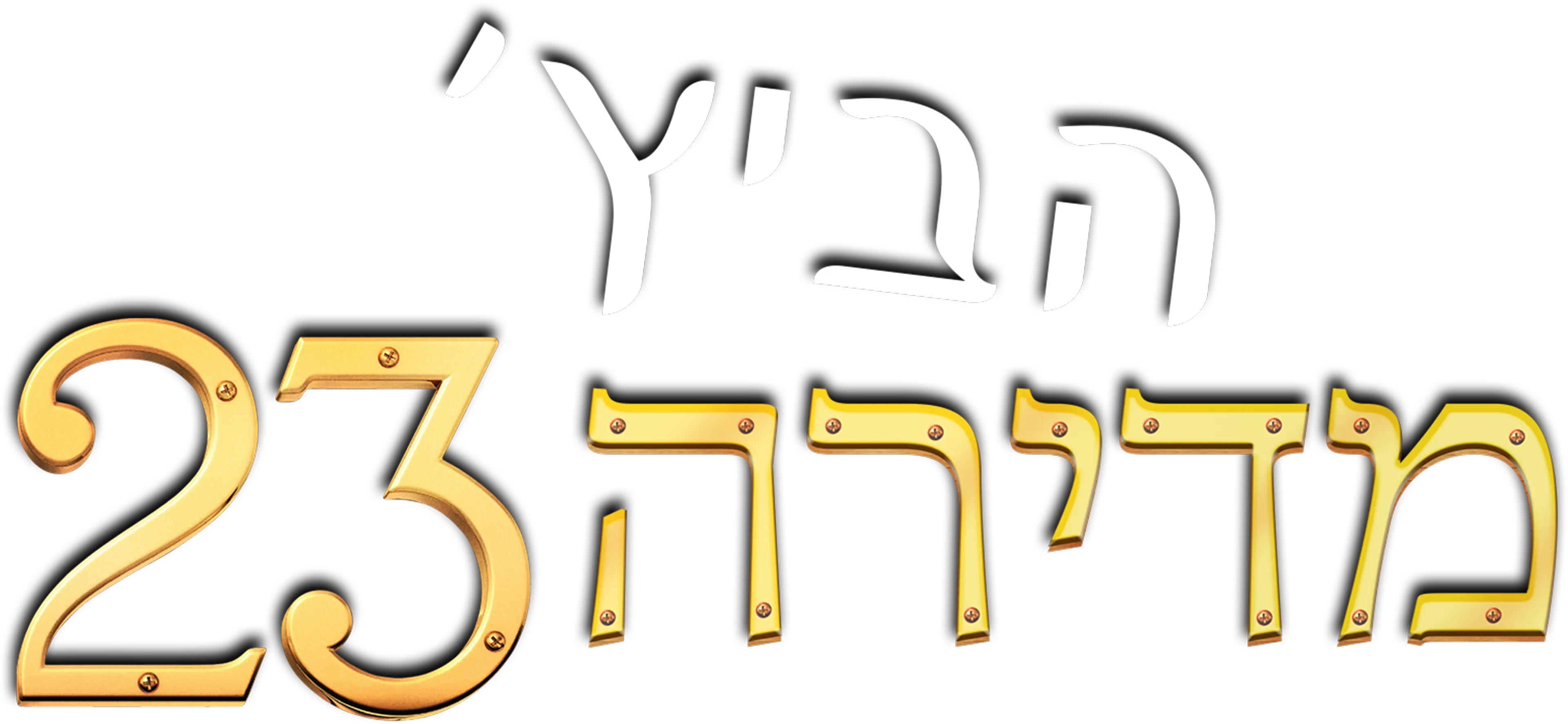 הביץ' מדירה 23