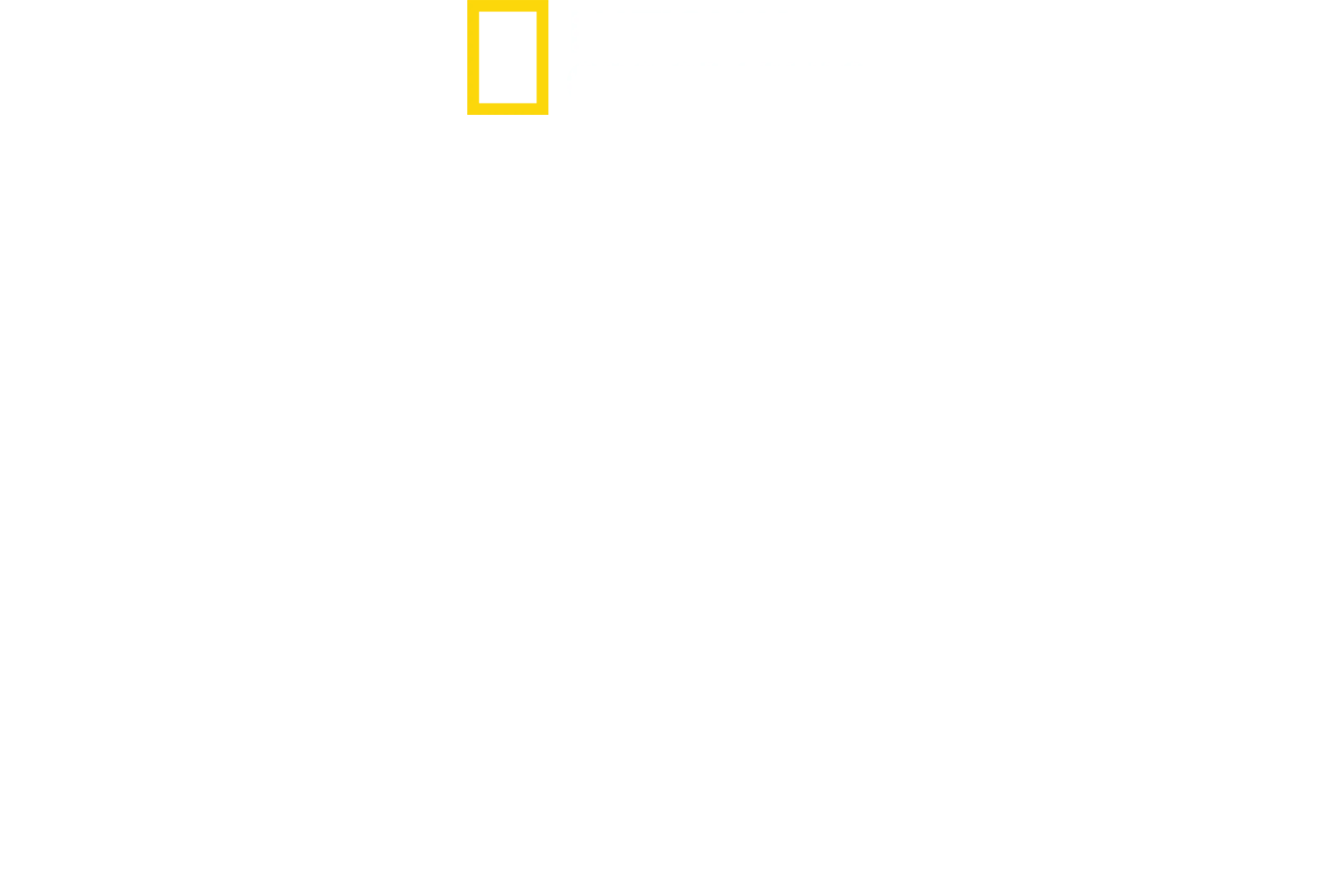 مستشفى دكتور كيه للحيوانات