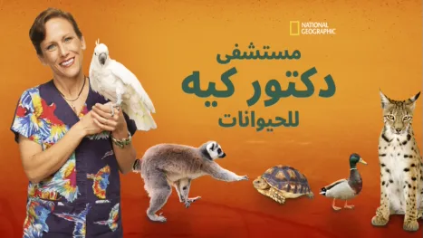 thumbnail - مستشفى دكتور كيه للحيوانات