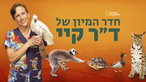 thumbnail - חדר המיון של ד"ר קיי