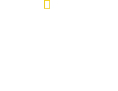 Hammerhead Sharks Up Close with Bertie Gregory