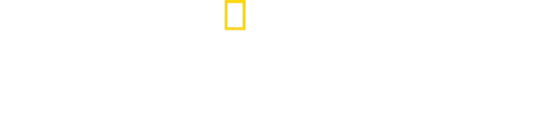 Toronto Airport Uncovered