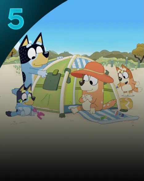 Bluey samlingar