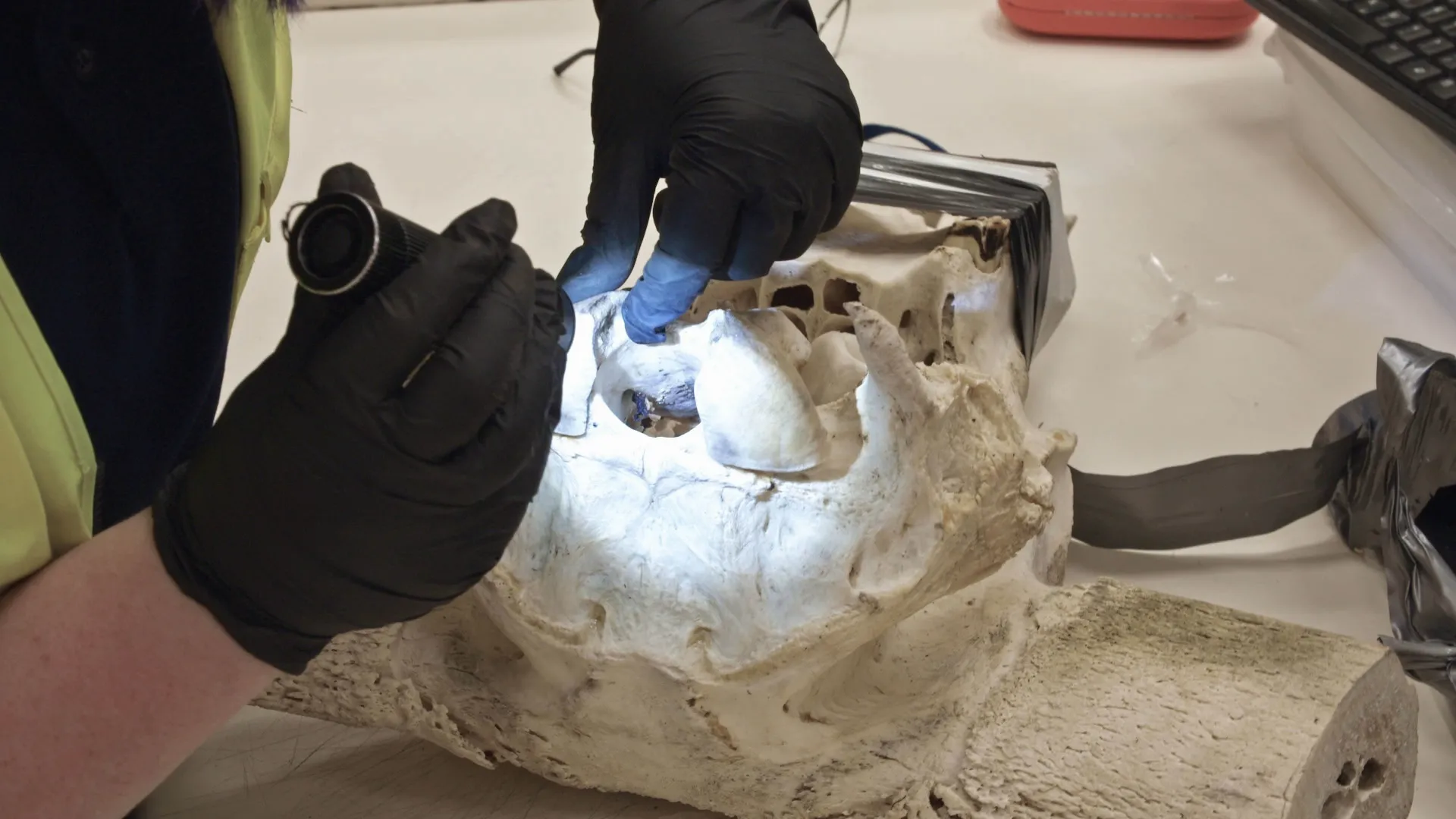 thumbnail - S15:E9 Egg-stra Ingredients