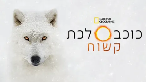 thumbnail - כוכב לכת קשוח