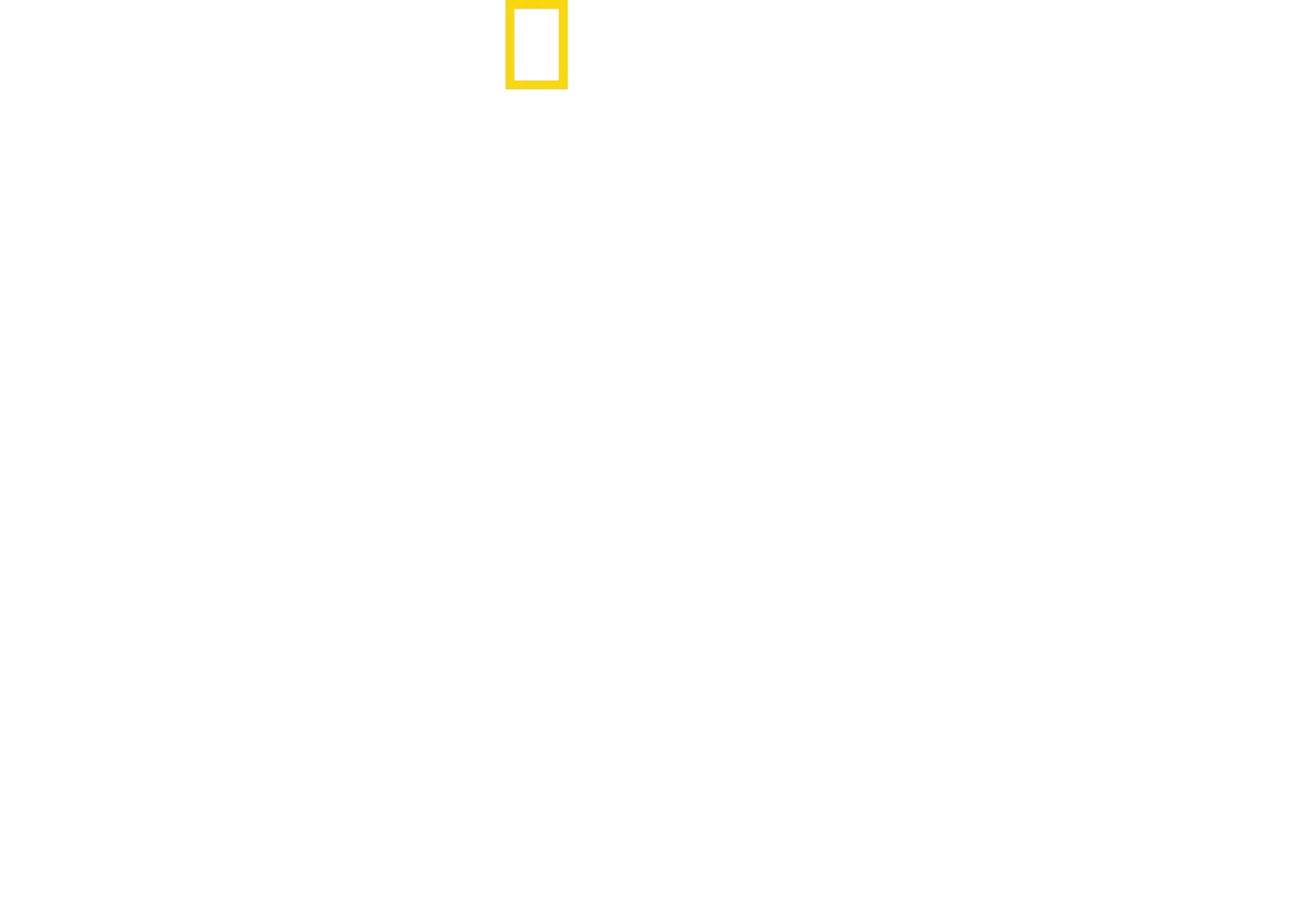 Requin contre Surfeur