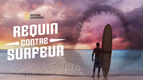 thumbnail - Requin contre Surfeur