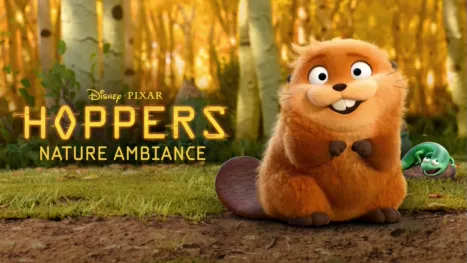 thumbnail - Hoppers Nature Ambiance