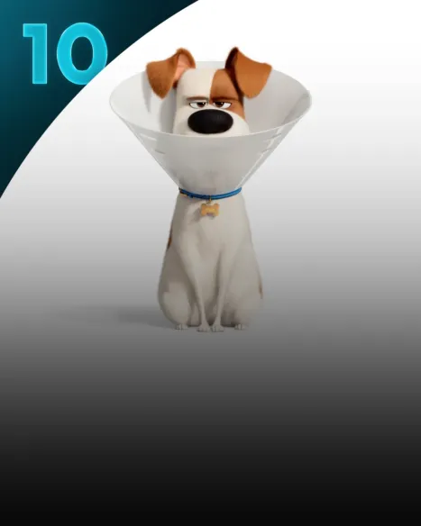 The Secret Life of Pets 2