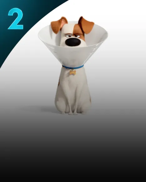 The Secret Life of Pets 2
