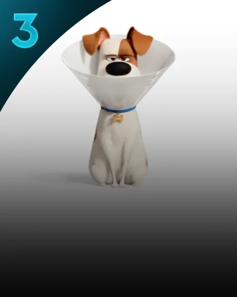 The Secret Life of Pets 2