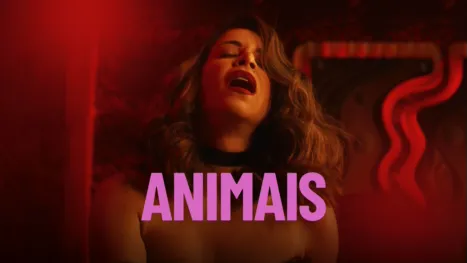 Animais