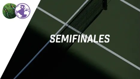 Terra Wortmann Open (Semifinal)