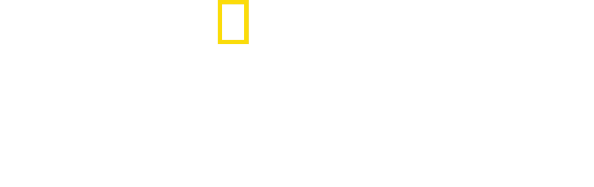 Amsterdam Central: Aberto 24 horas