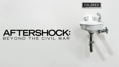 thumbnail - Aftershock:  Beyond The Civil War