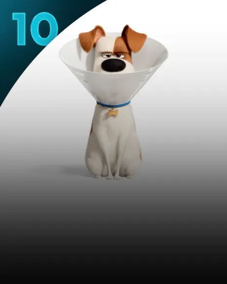 The Secret Life of Pets 2