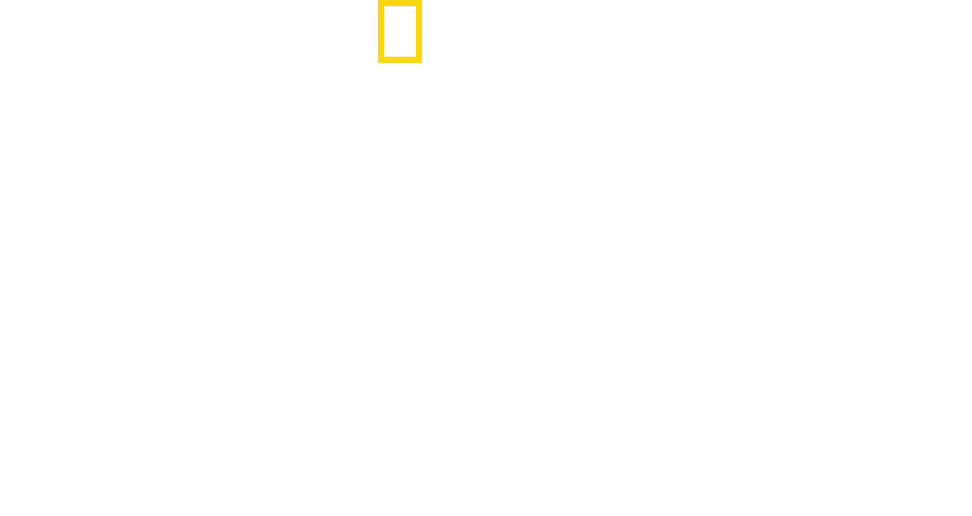 قروش المطرقة عن قرب مع بيرتي غريغوري