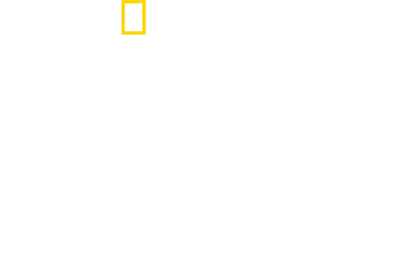 Kladivouni zblízka s Bertiem Gregorym
