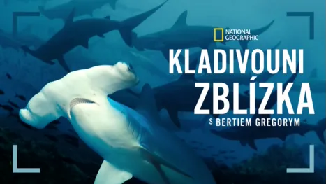thumbnail - Kladivouni zblízka s Bertiem Gregorym