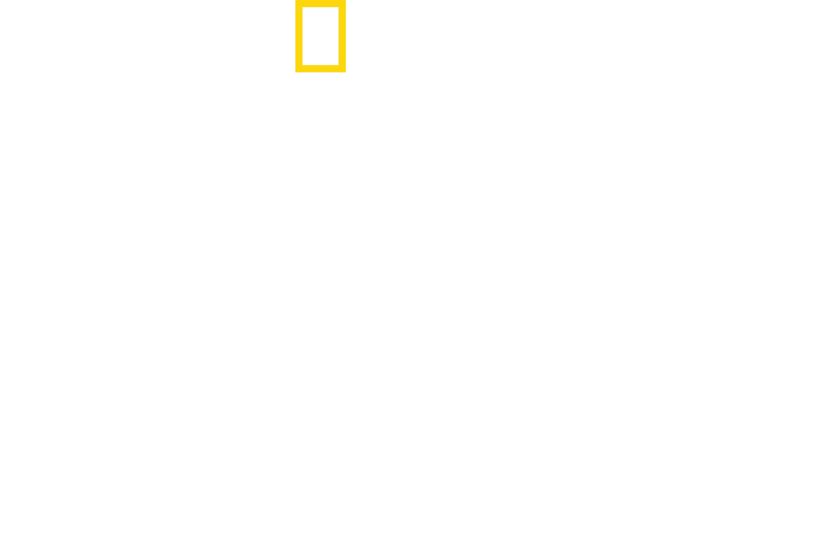 Hammerhaie hautnah mit Bertie Gregory