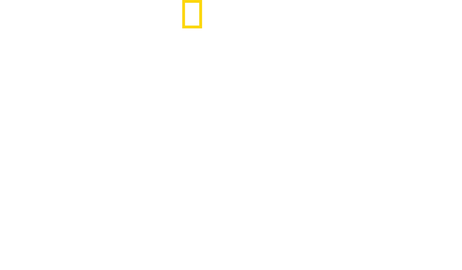 Σφυροκέφαλοι Καρχαρίες από Κοντά με τον Μπέρτι Γκρέγκορι