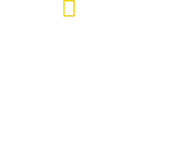 Tiburones de cerca con Bertie Gregory: Tiburón martillo