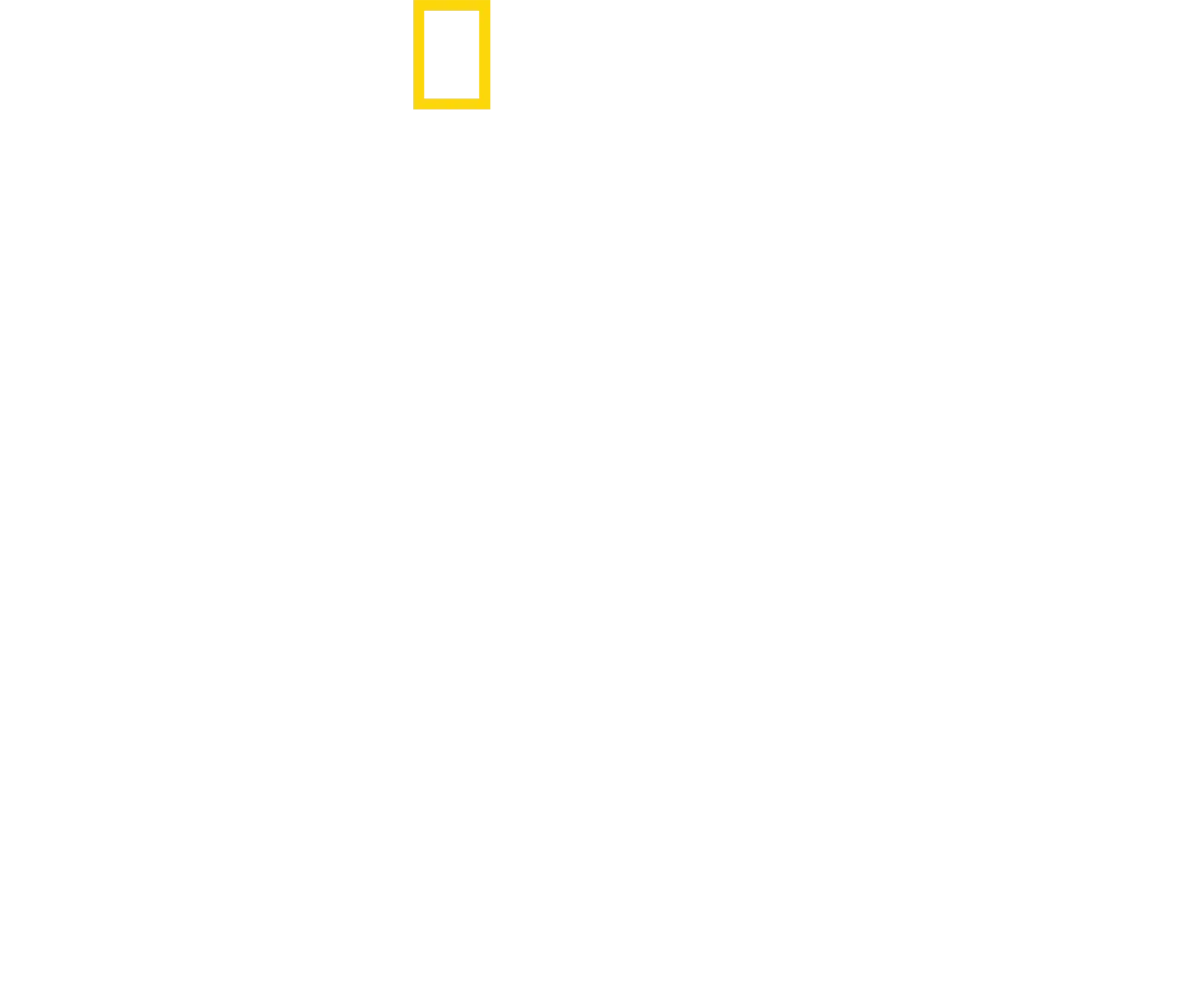 Tiburones de cerca con Bertie Gregory: Tiburón martillo