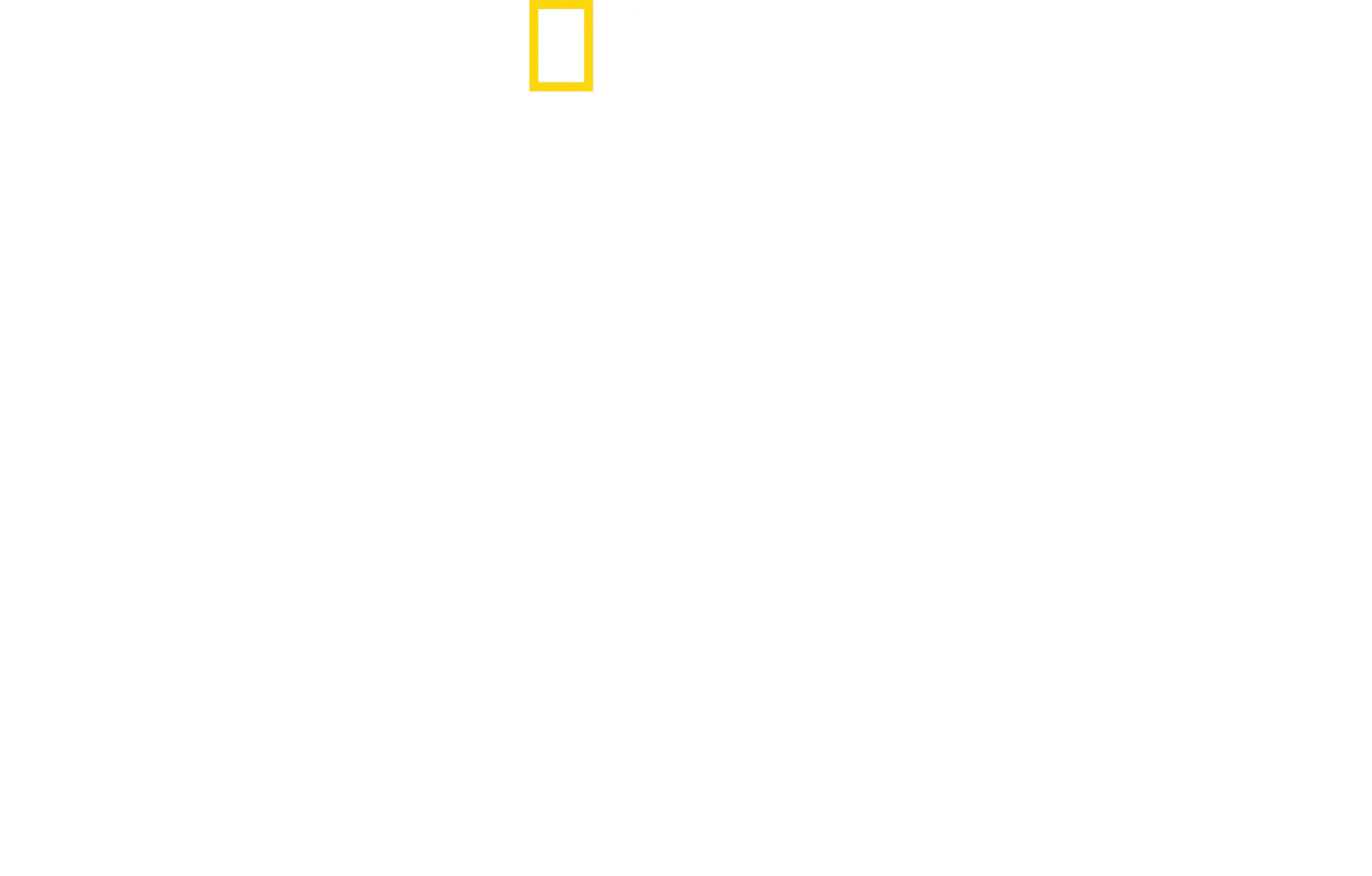 Tiburones martillo en primer plano con Bertie Gregory