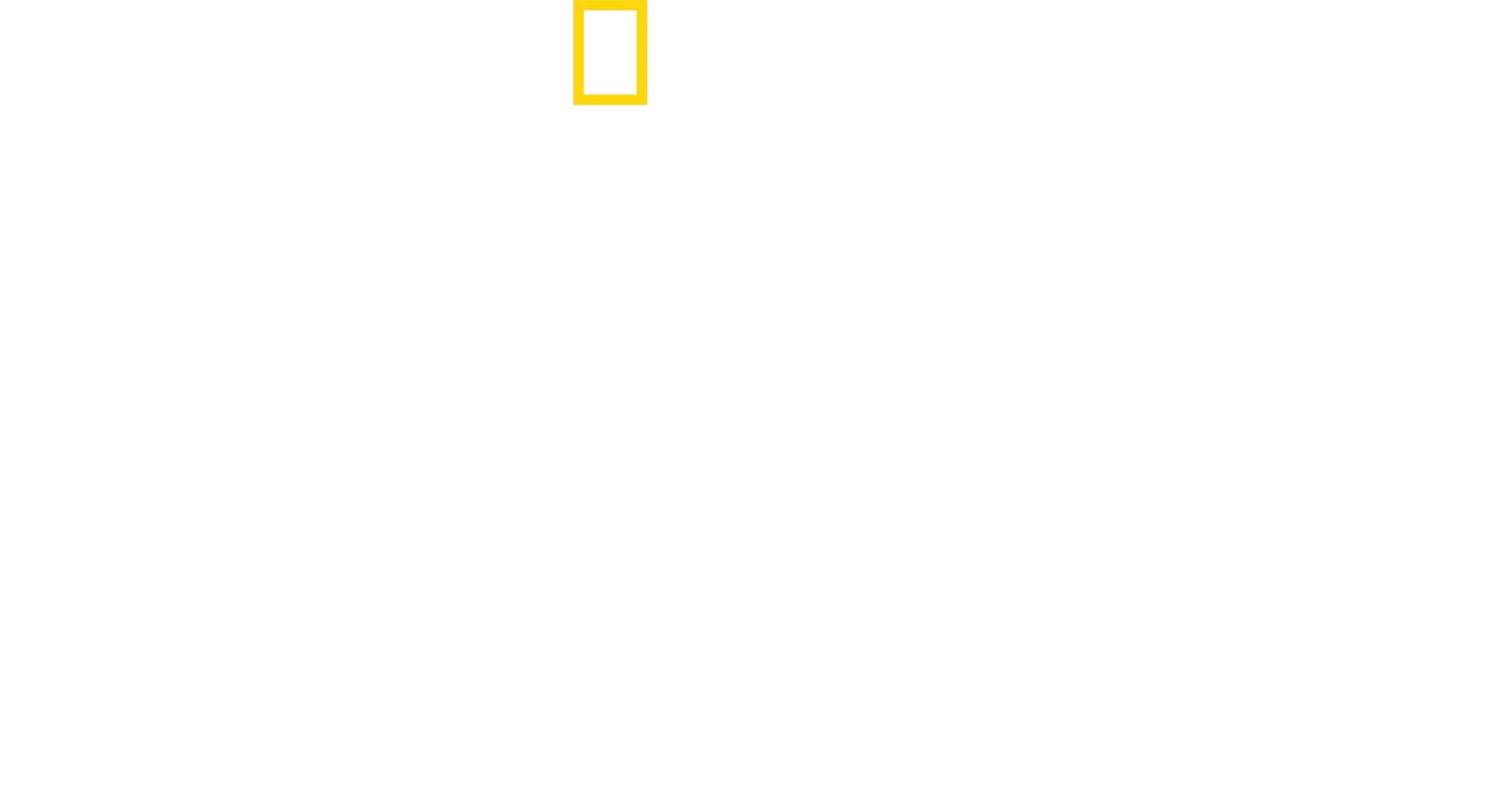 Bertie Gregory - lähikuvassa vasarahait