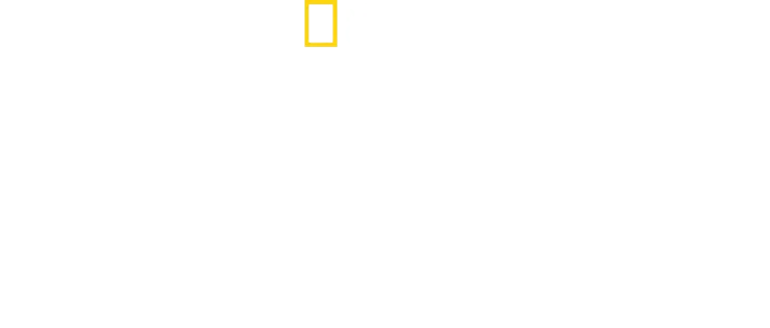 Au plus près des requins-marteaux avec Bertie Gregory