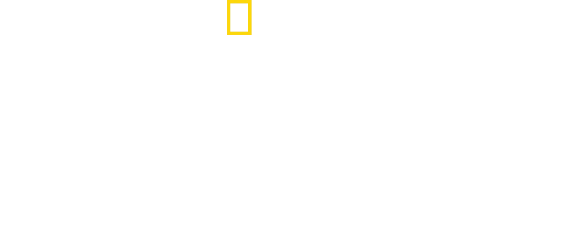Au plus près des requins-marteaux avec Bertie Gregory