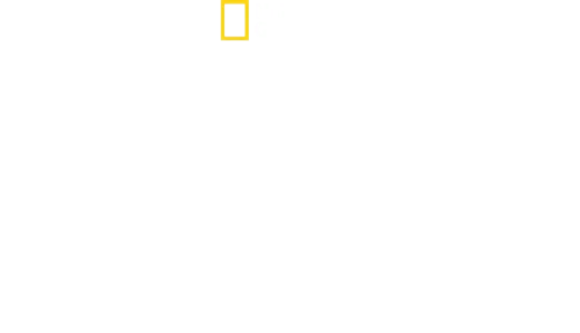 A pörölycápák világa Bertie Gregoryval