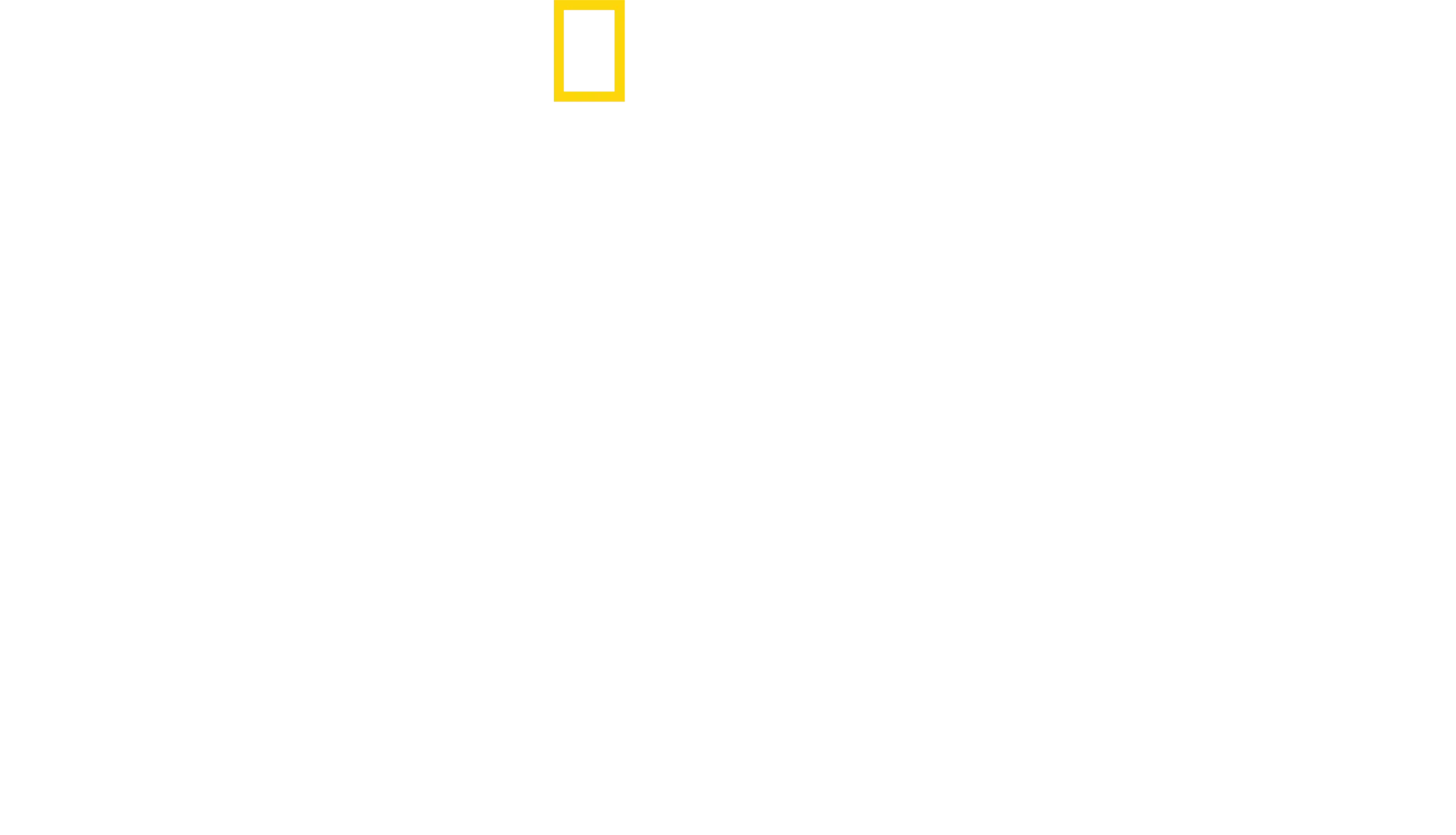 A pörölycápák világa Bertie Gregoryval